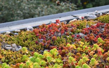 the cost of Stubbs Cross green roof installation